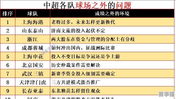 申洲足球竞技是资金盘吗？深度剖析背后真相